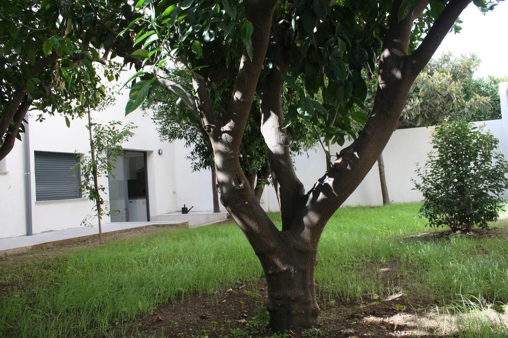 Residencia Mayol - Adults Only ميورقة الغرفة الصورة
